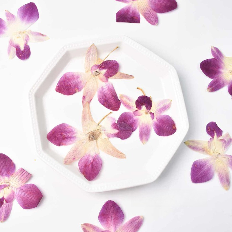 4pcs,Real Pressed Butterfly Or - Resin Art Frame review and price