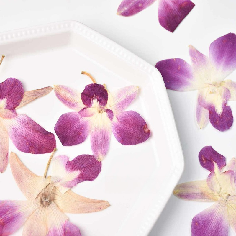 4pcs,Real Pressed Butterfly Or - Resin Art Frame review and price
