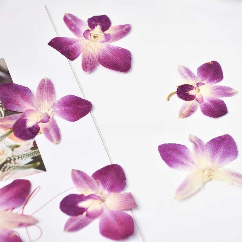 4pcs,Real Pressed Butterfly Or - Resin Art Frame review and price