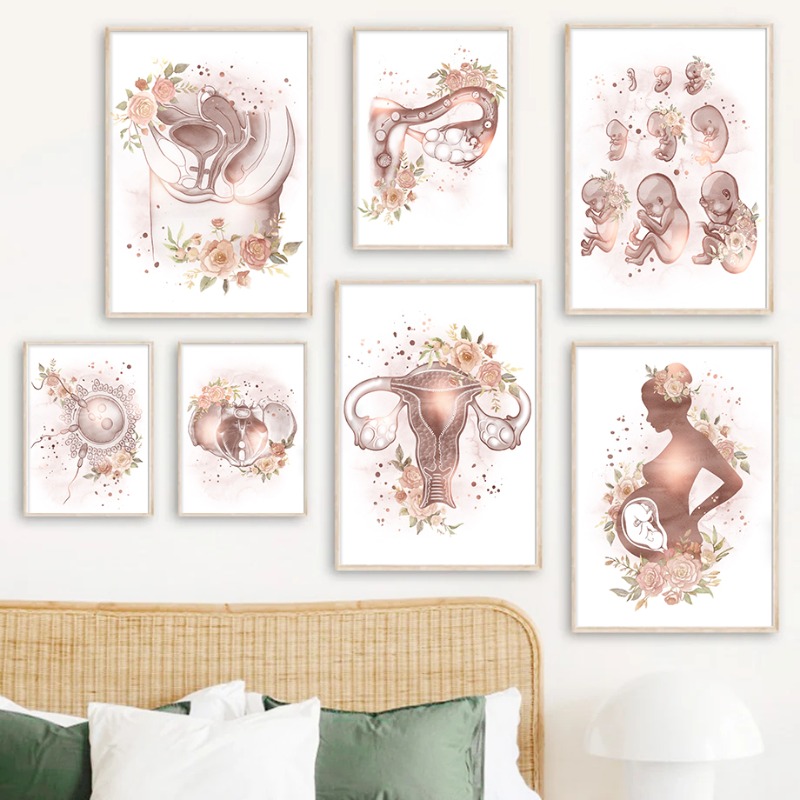 Gynecology Female Anatomy Fert - Resin Art Pregnancy review and price