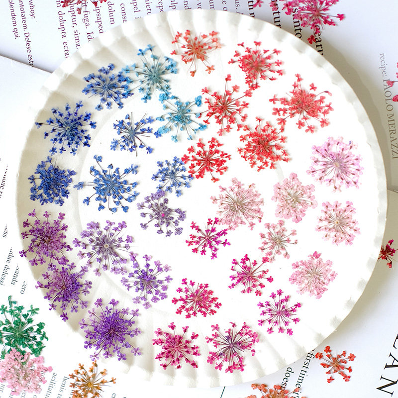 24pcs, 2-2.5cm, Nature Dyed Mi - Resin Art Frame review and price