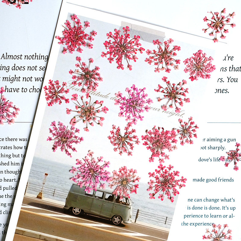 24pcs, 2-2.5cm, Nature Dyed Mi - Resin Art Frame review and price