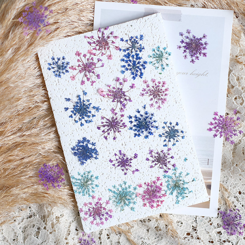 24pcs, 2-2.5cm, Nature Dyed Mi - Resin Art Frame review and price