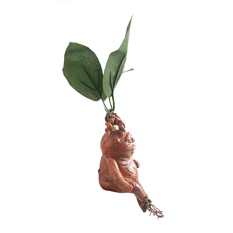 1PCS Mandrake Grass Resin Stat - Resin Art For Anniversary Gift review and price